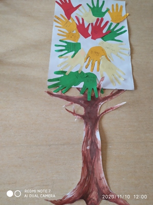 m IMG 20201110 120039