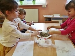 m IMG 20220203 092142