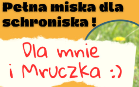 m schronisko zbiorka