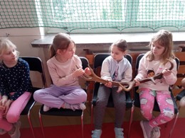 m IMG 20250314 094908 101